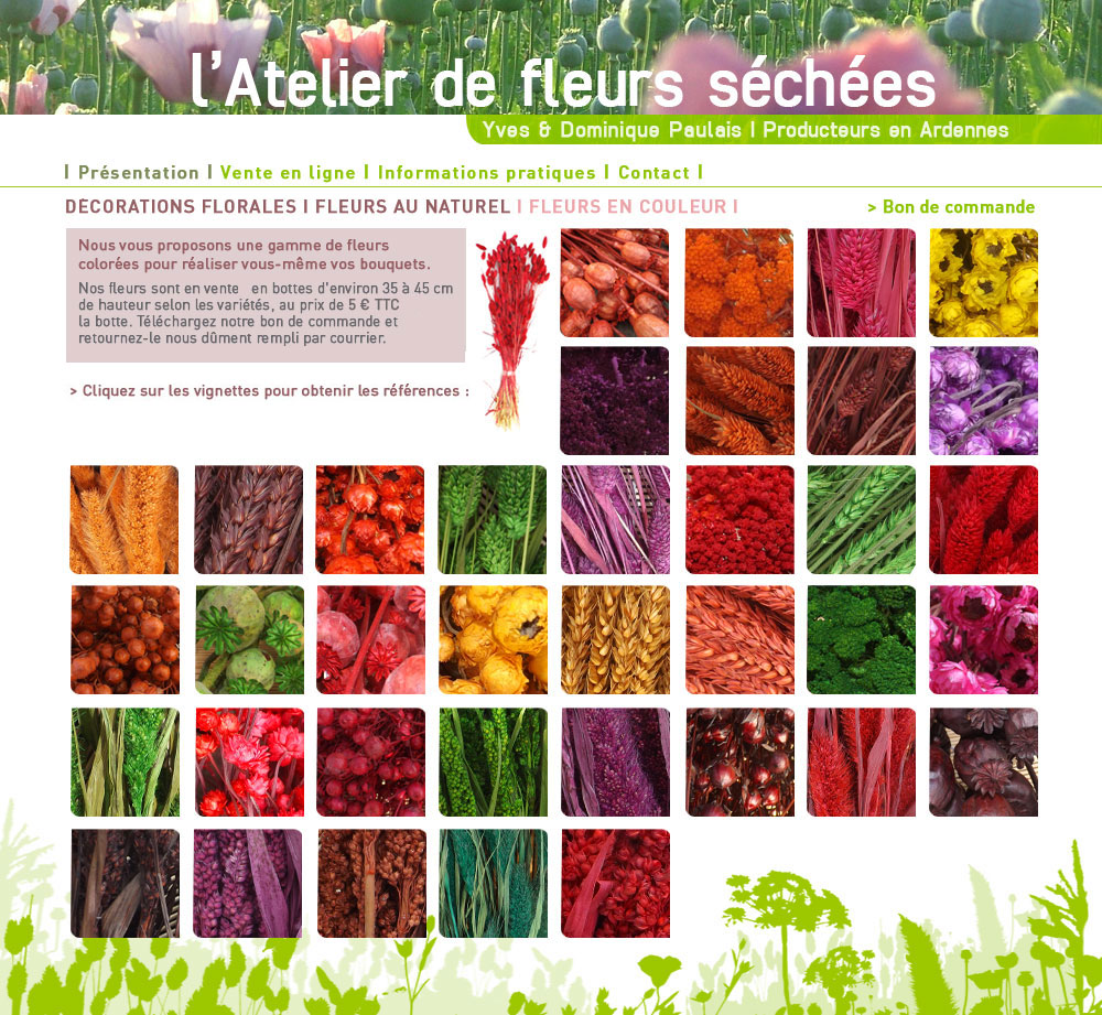 paulais fleurs sechees ardennes